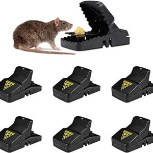 Plastic rat trap