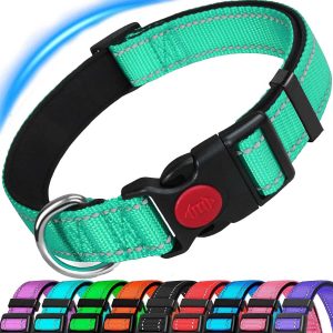 Plastic pet collar